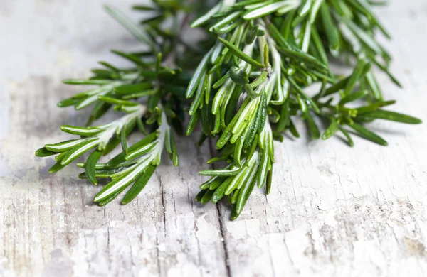 Bunch of fresh rosemary — Stock Photo, Image