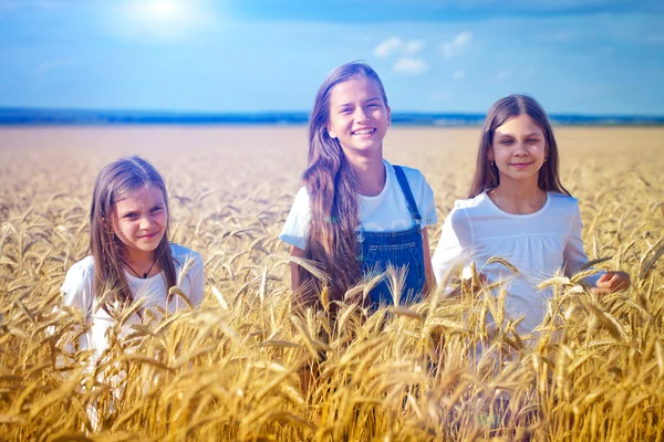 Дівчата в пшеничному полі — стокове фото
