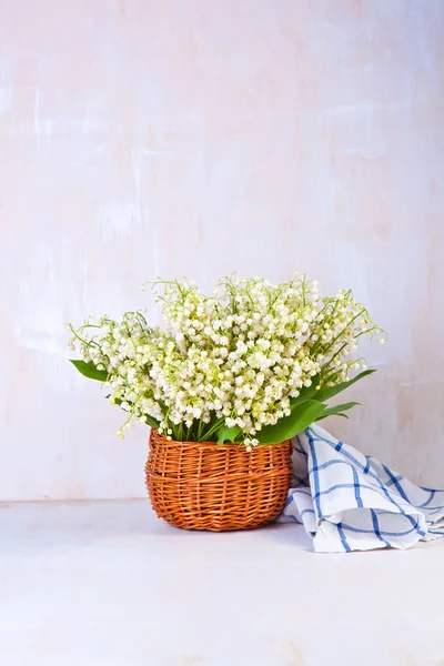 Lily of the valley on white — Stock Photo, Image