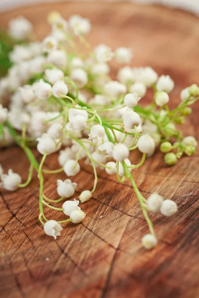 Bouquet of lilies of the valley — Stock Photo, Image