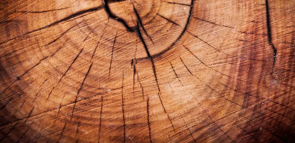 Natuurlijke houtachtergrond — Stockfoto