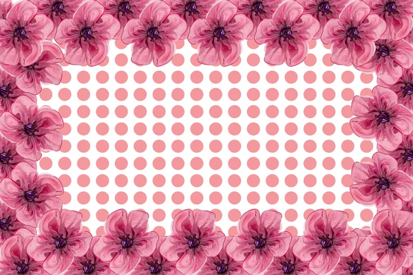 Künstliche Blumen isoliert auf weißem Hintergrund Rahmen — Stockfoto