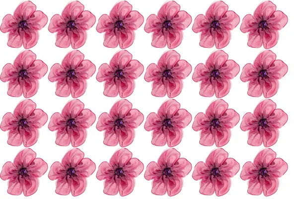 Штучні квіти ізольовані на білому фоні рамки — стокове фото
