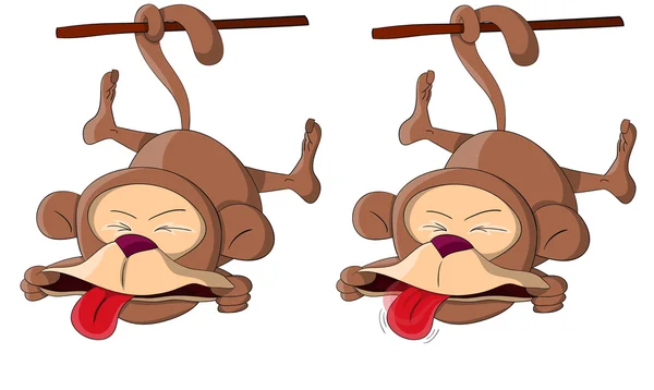 สองลิงที่น่ารักแปลกประหลาด — ภาพเวกเตอร์สต็อก