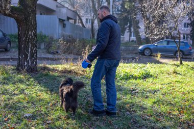 Sonbahar sabahı çimenli bir parkta uzun saçlı melez köpeğini tasmayla gezdiren bir adam. Düşen yapraklar, yumuşak güneş ışığı ve arka plandaki konut binaları açık hava manzarası oluşturur..