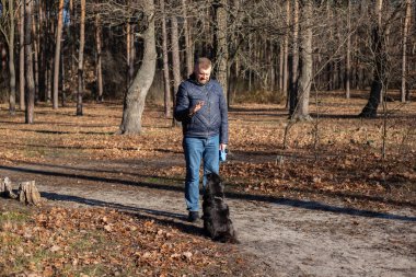 Adam sonbahar orman parkında siyah köpeğini eğitirken evcil hayvan yol kenarında oturur sahiplerinin el işaretleri ile tasma takmalarını ve hafta sonu köpek eğitimleri etrafında kuru yapraklar bırakmalarını seyreder.