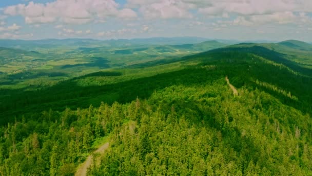 Drönare som flyger ovanför stigen genom skogen — Stockvideo