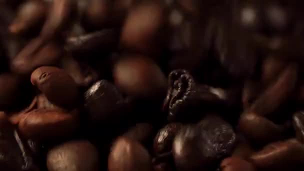 Queda sementes close-up — Vídeo de Stock