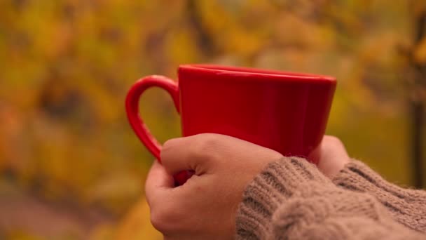 Chiudere mani femminili caffè con tazza all'aperto — Video Stock