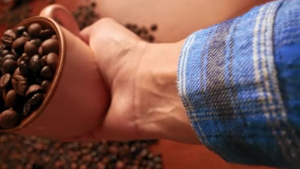 Close up atirando café semente — Vídeo de Stock