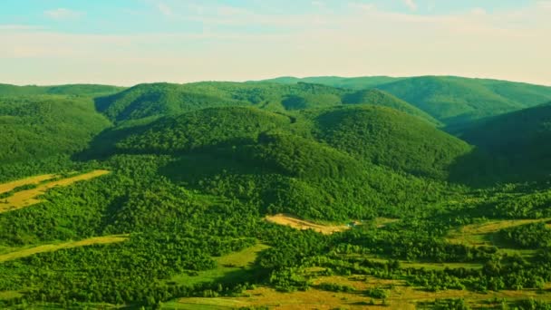Εναέρια άποψη της φύσης στα ορεινά — Αρχείο Βίντεο