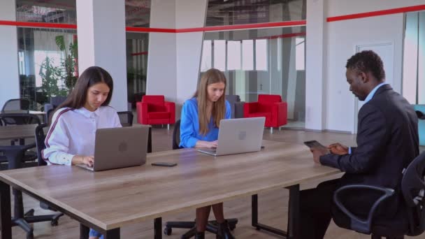 Collègues jouissant d'un succès — Video