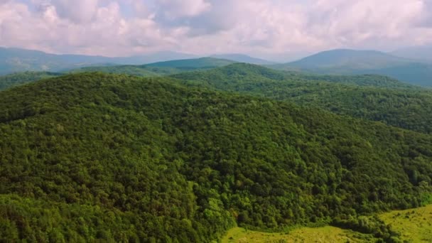 Naturaleza vista altiplano en temporada de primavera — Vídeos de Stock