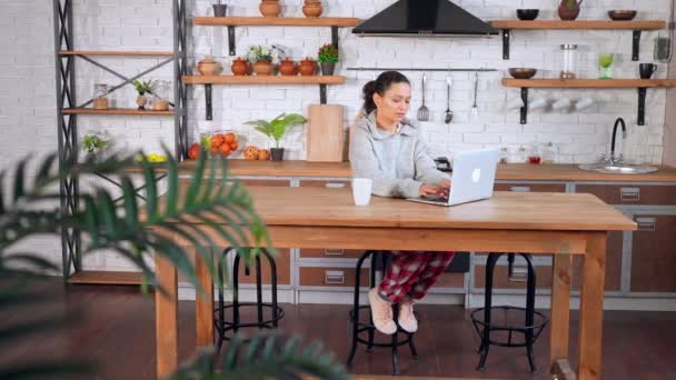 Morena sonriente usando el ordenador en casa — Vídeos de Stock