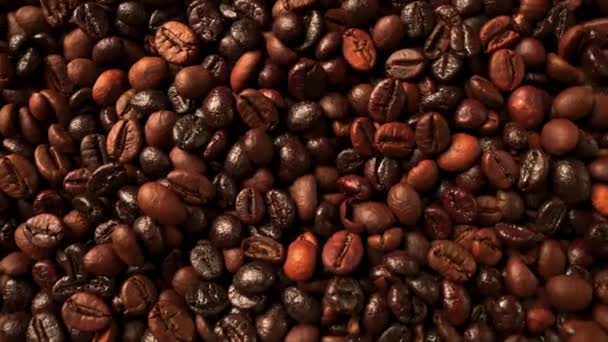 Ver arriba en semillas de café — Vídeos de Stock
