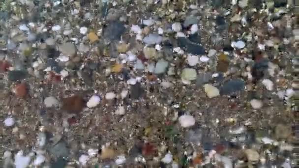 Dettagli spiaggia sassosa — Video Stock