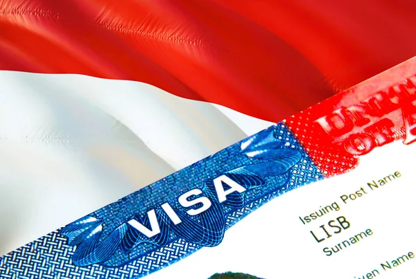 Індонезія Імміграційна Віза Closeup Visa Indonesia Зосередився Слові Visa Рендерингу — стокове фото