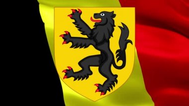 Belçika 'da Flaman bayrağı. 3d Belçika Flaman Topluluğu bayrağı sallanıyor. Vlaams Belang ve Vlaanderen partisini Flanders Belçika ve Brüksel Antwerp temsil etmektedir. Flaman topluluğunun yüksek çözünürlüklü arkaplanı. Flanders bayrağı 1080p Tam HD