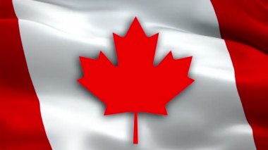 Kanada bayrağı. Rüzgarda sallanan video. Gerçekçi Kanada Bayrağı geçmişi. Kırmızı akçaağaç yaprağı bayrağı 1080p HD video. Ottawa 1080 p Full HD 1920X1080 video dalgalanması. Kanada kusursuz döngü görüntüsü