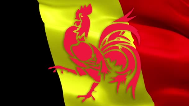 Bandeira Região Valónia Bélgica Bélgica Valónia Francês Comunidade Bandeira Acenando — Vídeo de Stock