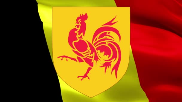 Bandera Valonia Bélgica Bélgica Valonia Bandera Comunitaria Francesa Ondeando Los — Vídeos de Stock