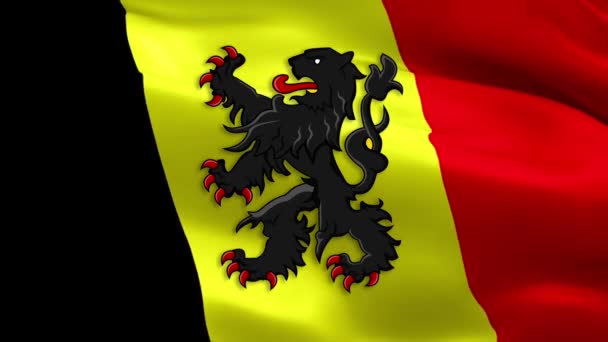 Flämische Flagge Belgien Belgien Flämische Holländische Gemeinschaftsflagge Weht Flandern Belgien — Stockvideo