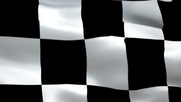 Offizielles Ziel Start Race Racing Flagge Schwenkend Rennende Flagge Nahaufnahme — Stockvideo