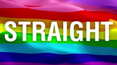 Gökkuşağı Gay bayrağının rüzgarda dalgalanan videosu. Gerçekçi Düz Bayrak geçmişi. Gökkuşağı Düz Bayrak Döngüsü Kapanışı 1080p Tam HD 1920X1080 görüntü. Düz Gökkuşağı renkleri Sydney / Diğer LGBT bayrakları kullanılabilir