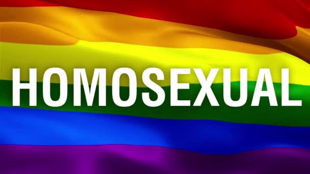 Texto Homossexual Bandeira Pride Loop Sem Emenda Bandeira Conceito Homossexual — Vídeo de Stock