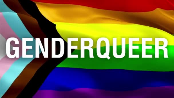 Genderqueer Tekst Rainbow Gay Vlag Video Zwaaien Wind Realistische Genderqueer — Stockvideo