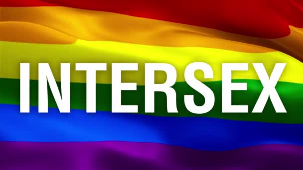 Intersex Text Pride Rainbow Flag Rainbow Intersex America Lesbian Usa — Stock Video