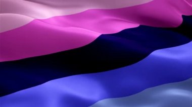 Gökkuşağı Çok Cinsiyetli Gurur Bayrağı rüzgarda sallanıyor. Gerçekçi Omnisexual Flag geçmişi. Gökkuşağı Gururu Bayrak Döngüsü Kapanışı 1080p Tam HD 1920X1080 görüntü. Gökkuşağı renkleri LGBT Omni Gurur Bayrakları Tam HD