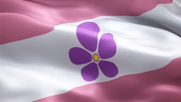 Regnbågssafisten Pride Flag Video Vinkar Vinden Safig Lbpq Lesbisk Bisexuell — Stockvideo