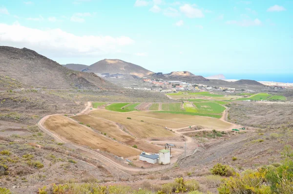 View of Cultivated Field — Stock Photo, Image