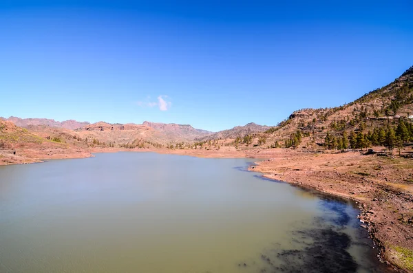 Svart vann i Gran Canaria – stockfoto