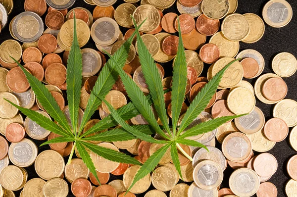 Marihuana y dinero — Foto de Stock