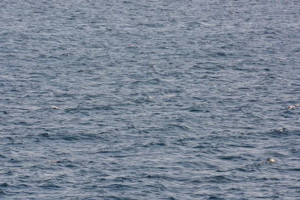 Gedetailleerde textuur van zeewater — Stockfoto