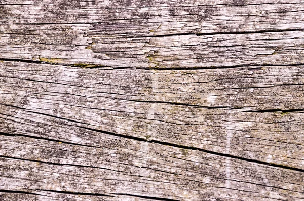 Grunge vloerplanken — Stockfoto