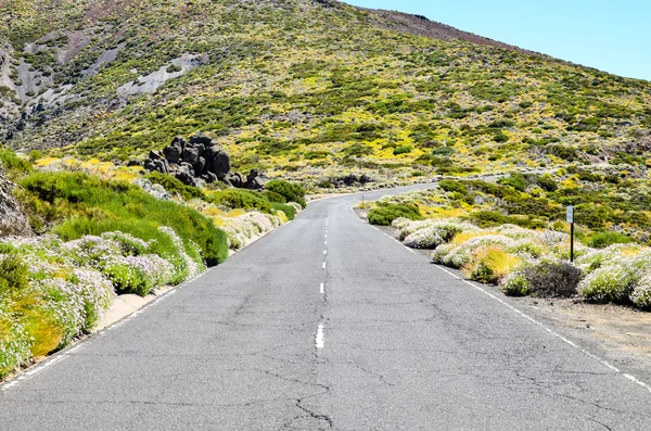 Stony Road at Volcanic Desert — Stock Photo, Image