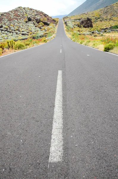 Long Lonely Road — Stock Photo, Image