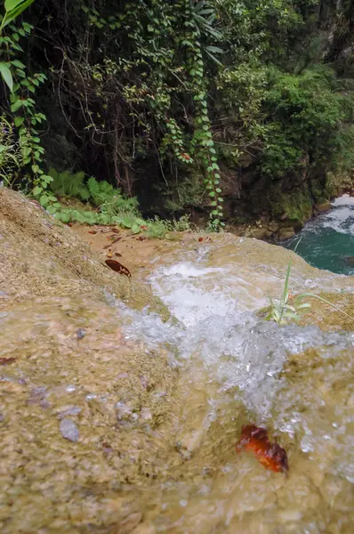 Semuc Champey Guatemala — Stockfoto