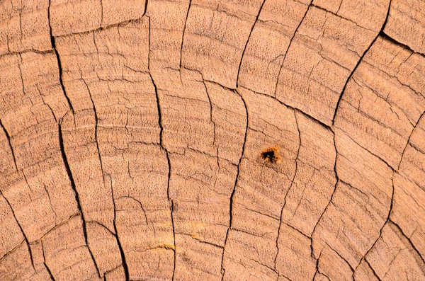 木材表面のテクスチャ — ストック写真