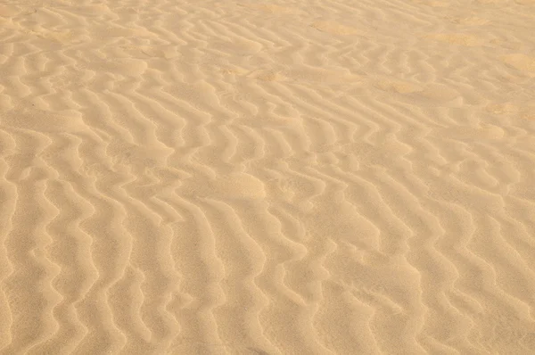 Sand Dune Desert Texture — Stock Photo, Image