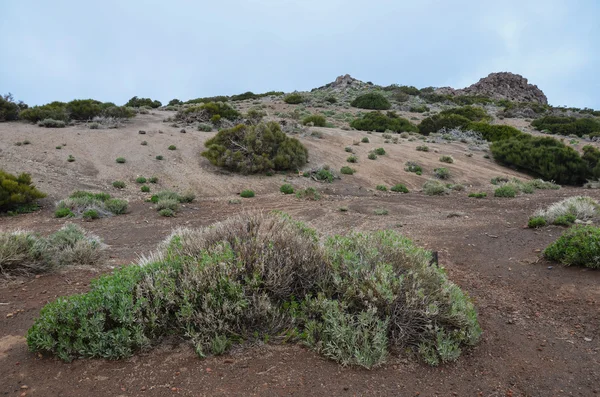 Dia nublado no Parque Nacional El Teide — Fotografia de Stock