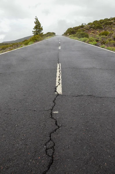 Camino en el día nublado en el Parque Nacional El Teide —  Fotos de Stock