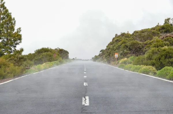 Camino en el día nublado en el Parque Nacional El Teide —  Fotos de Stock