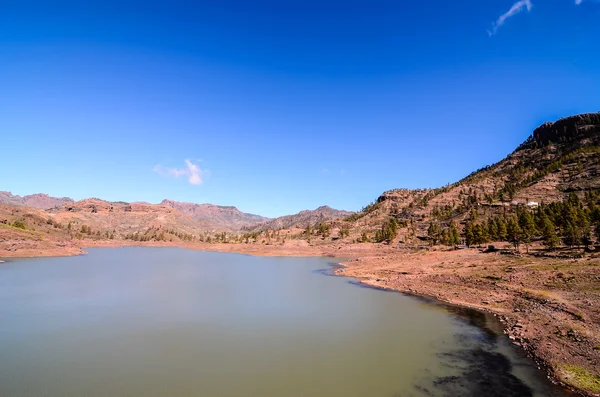 Svart vann i Gran Canaria – stockfoto