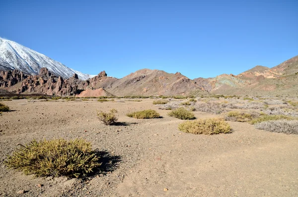 Paisagem do Deserto no Parque Nacional Volcan Teide — Fotografia de Stock