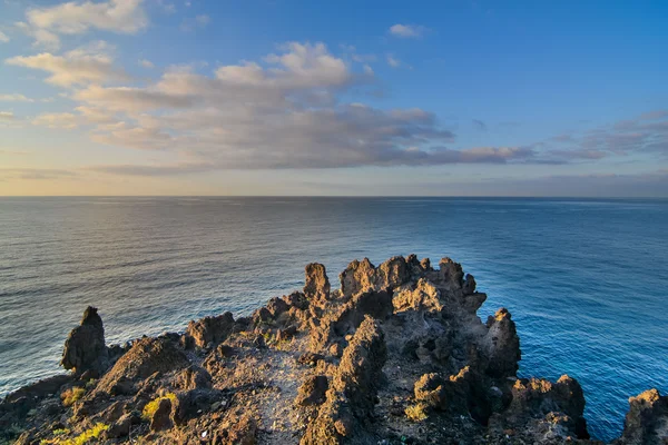 Dry Lava Coast Beach — Stock Photo, Image