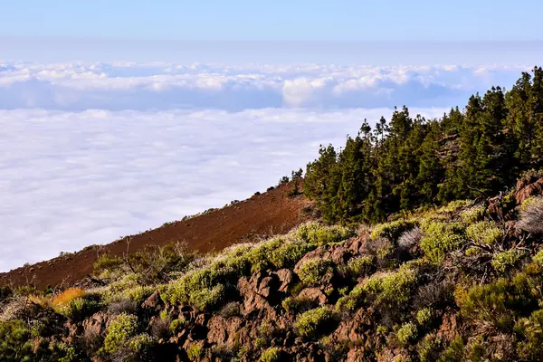 Mar de nubes — Foto Stock